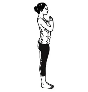 Surya Namaskar